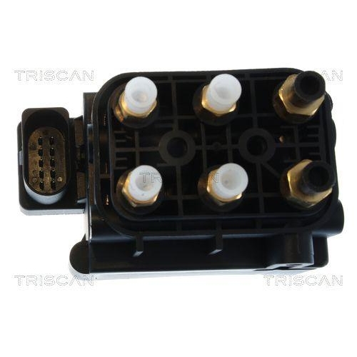 TRISCAN Kompressor, Druckluftanlage