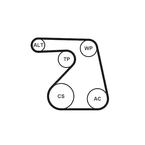 CONTINENTAL CTAM Wasserpumpe + Keilrippenriemensatz 6PK1217WP1