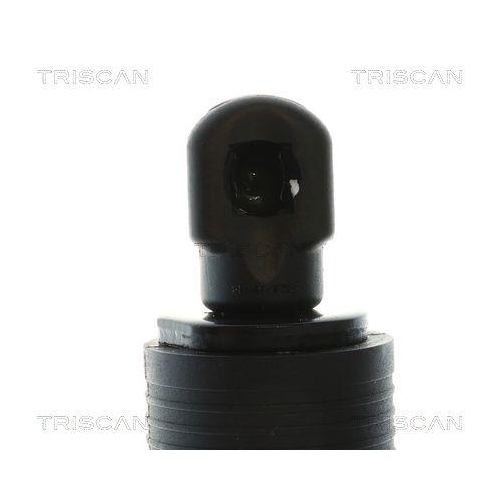 TRISCAN Gasfeder, Koffer-/Laderaum 8710 84302