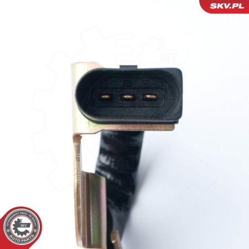 ESEN SKV Sensor, Nockenwellenposition 17SKV221