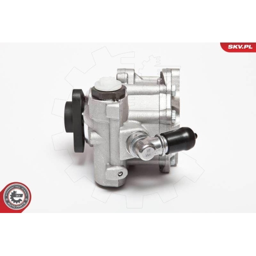 ESEN SKV Hydraulikpumpe, Lenkung