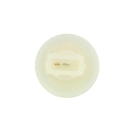 TRUCKLIGHT Lampenträger, Blinkleuchte CLE-RV001