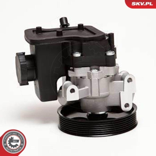 ESEN SKV Hydraulikpumpe, Lenkung 10SKV029