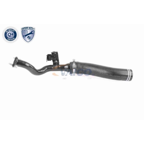 VAICO Ladeluftschlauch EXPERT KITS + V24-0722