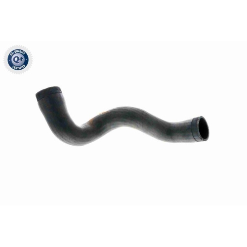 VAICO Ladeluftschlauch Q+, Erstausrüsterqualität V10-3141