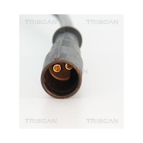 TRISCAN Sensor, Raddrehzahl 8180 25219