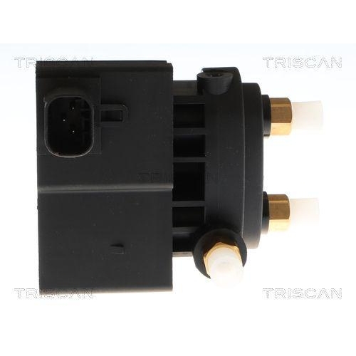 TRISCAN Kompressor, Druckluftanlage