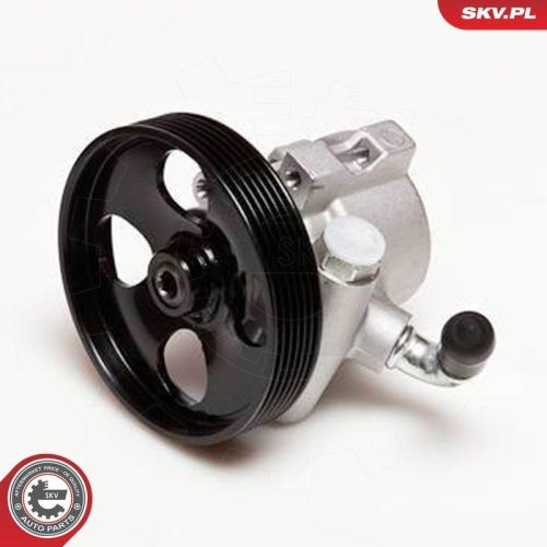 ESEN SKV Hydraulikpumpe, Lenkung 10SKV031