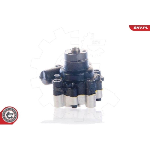 ESEN SKV Hydraulikpumpe, Lenkung