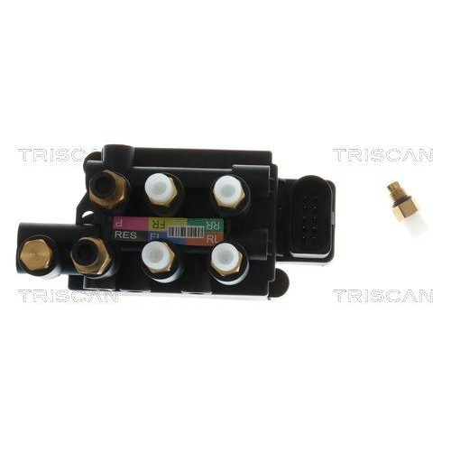 TRISCAN Kompressor, Druckluftanlage