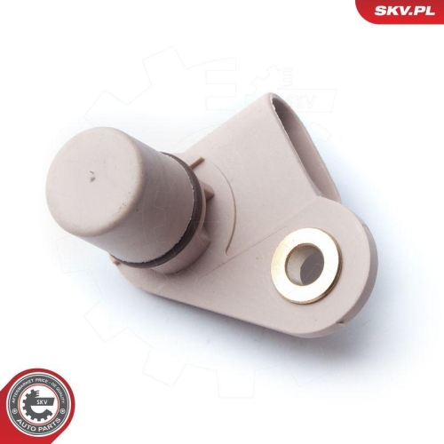 ESEN SKV Sensor, Nockenwellenposition 17SKV246