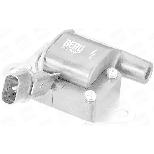 BorgWarner (BERU) Z&uuml;ndspule ZS263