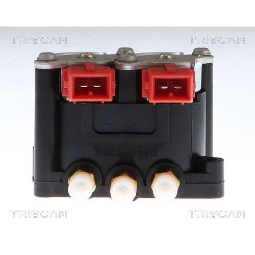 TRISCAN Kompressor, Druckluftanlage