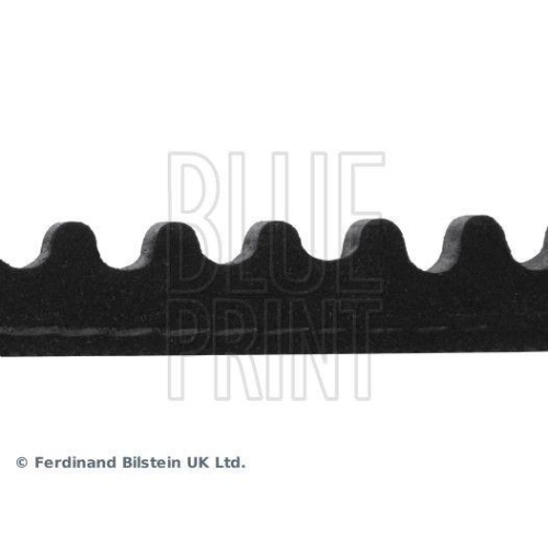 BLUE PRINT Keilriemen AD10V800