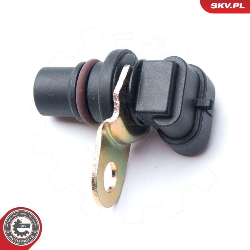 ESEN SKV Sensor, Nockenwellenposition 17SKV248