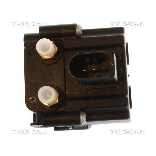 TRISCAN Kompressor, Druckluftanlage