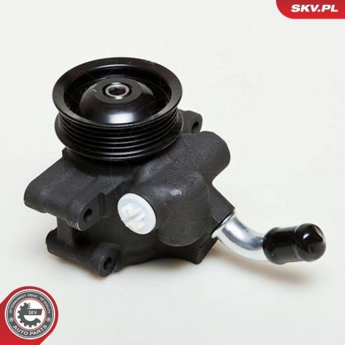 ESEN SKV Hydraulikpumpe, Lenkung 10SKV035