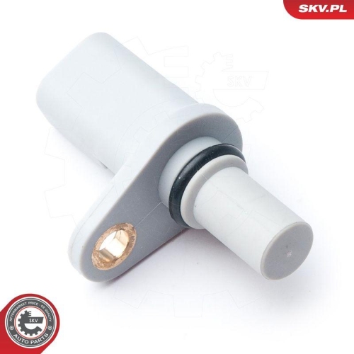 ESEN SKV Sensor, Nockenwellenposition 17SKV260