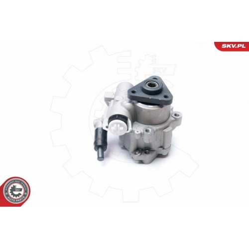 ESEN SKV Hydraulikpumpe, Lenkung