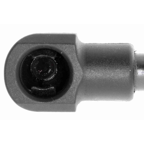 VAICO Gasfeder, Motorhaube Green Mobility Parts V10-3241
