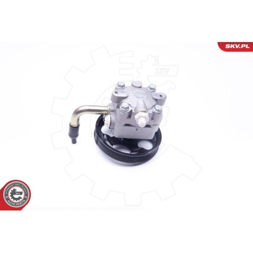 ESEN SKV Hydraulikpumpe, Lenkung