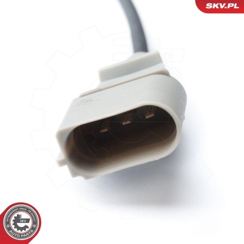 ESEN SKV Impulsgeber, Kurbelwelle 17SKV213