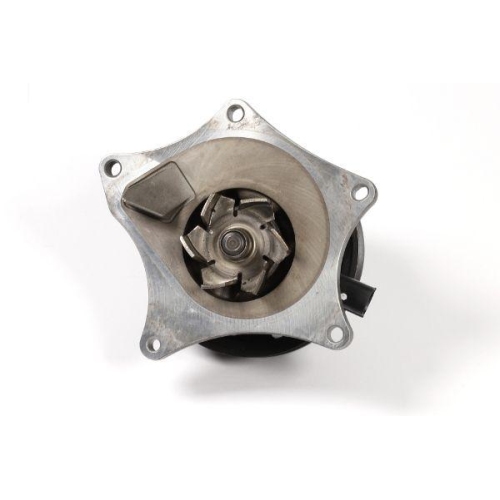 HEPU Wasserpumpe, Motork&uuml;hlung P389