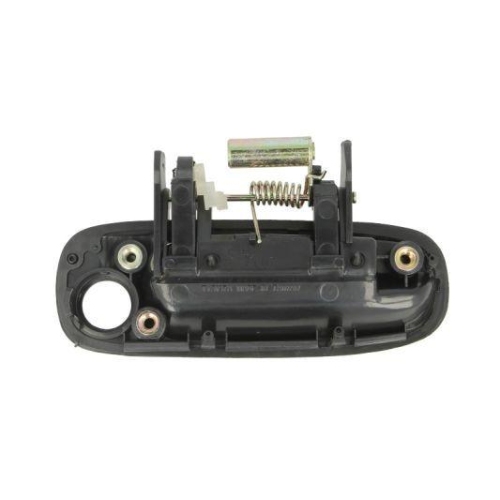 BLIC Türaußengriff 6010-19-030401P