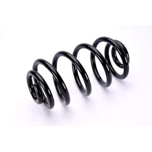 Magnum Technology Fahrwerksfeder SX169MT