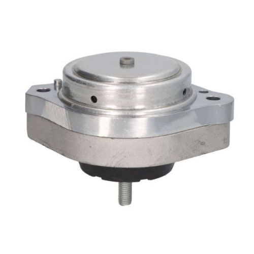 REINHOCH Lagerung, Motor RH11-3077