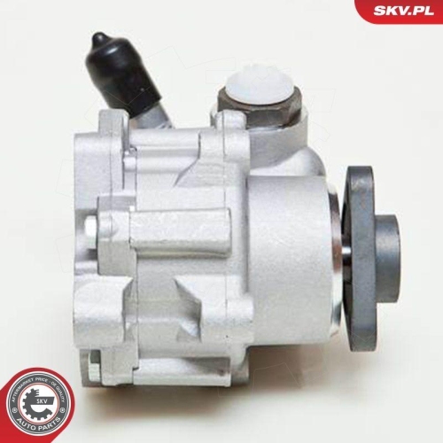 ESEN SKV Hydraulikpumpe, Lenkung 10SKV048