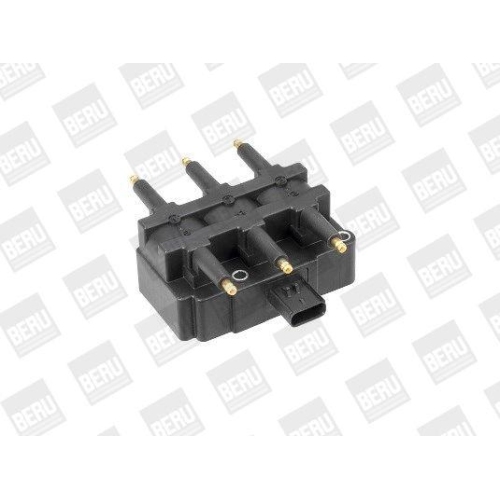 BorgWarner (BERU) Z&uuml;ndspule ZS456
