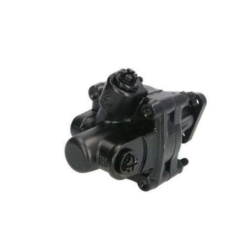 LAUBER Hydraulikpumpe, Lenkung 55.0039
