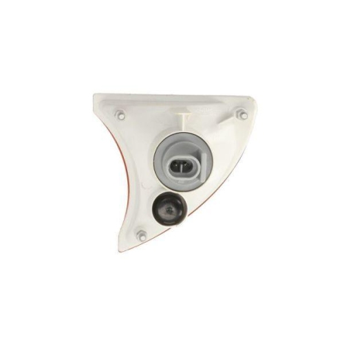 TRUCKLIGHT Blinkleuchte CL-IV004L