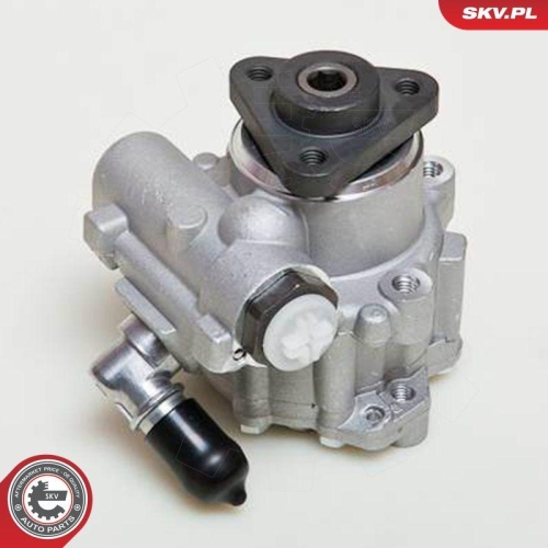 ESEN SKV Hydraulikpumpe, Lenkung 10SKV049