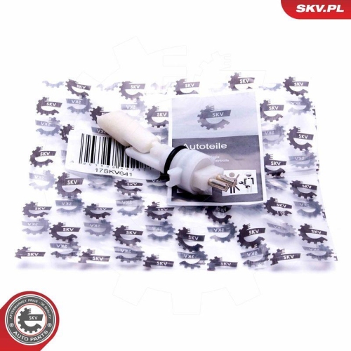 ESEN SKV Sensor, K&uuml;hlmittelstand 17SKV641