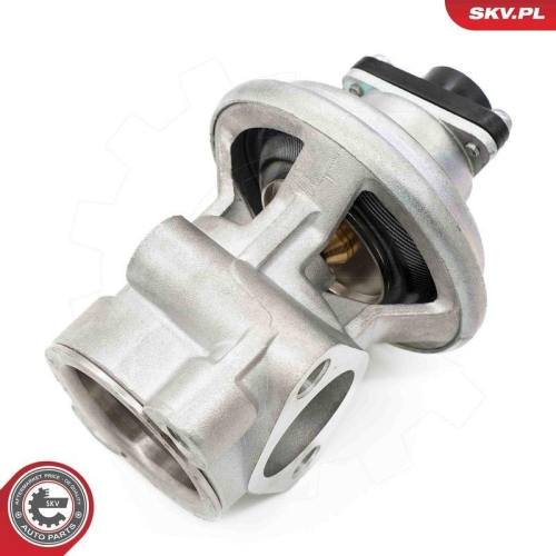 ESEN SKV AGR-Ventil 14SKV269