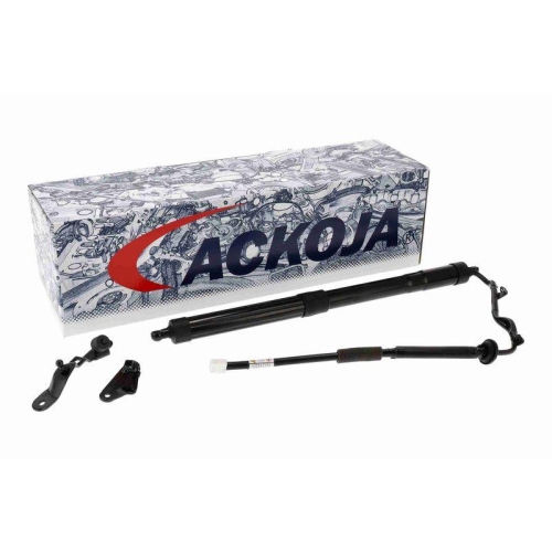 ACKOJA Elektromotor, Heckklappe Green Mobility Parts A70-55-0009