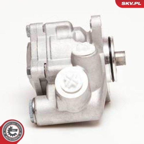 ESEN SKV Hydraulikpumpe, Lenkung 10SKV051