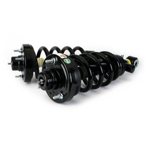 Arnott Fahrwerkssatz, Federn/D&auml;mpfer Original Arnott Produkt C-4029