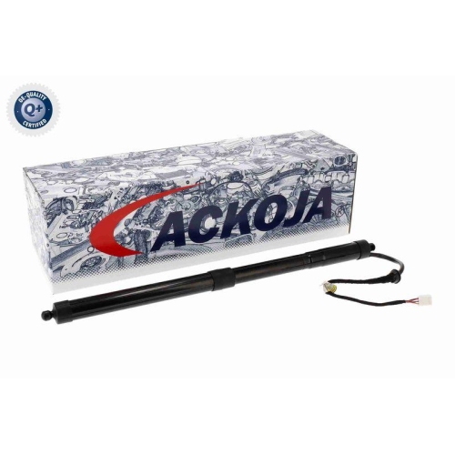 ACKOJA Elektromotor, Heckklappe Green Mobility Parts A70-55-0011