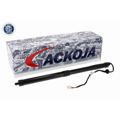 ACKOJA Elektromotor, Heckklappe Green Mobility Parts A70-55-0012