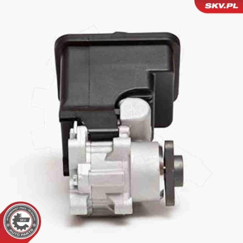 ESEN SKV Hydraulikpumpe, Lenkung 10SKV012