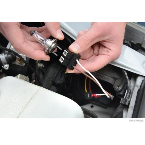 HERTH+BUSS ELPARTS Spannungsbegrenzer, Bordnetz 95980312