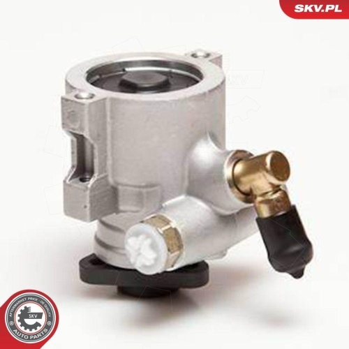 ESEN SKV Hydraulikpumpe, Lenkung 10SKV053