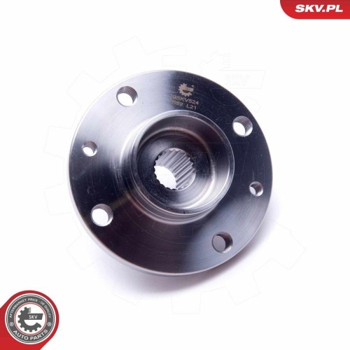 ESEN SKV Radlagersatz 29SKV524