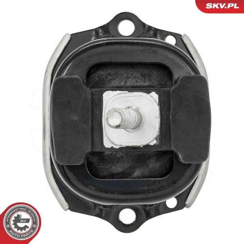 ESEN SKV Lagerung, Motor 75SKV254