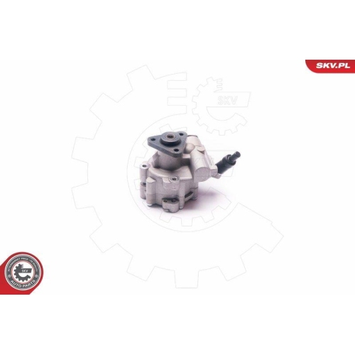 ESEN SKV Hydraulikpumpe, Lenkung 10SKV030