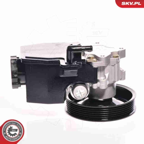 ESEN SKV Hydraulikpumpe, Lenkung 10SKV139