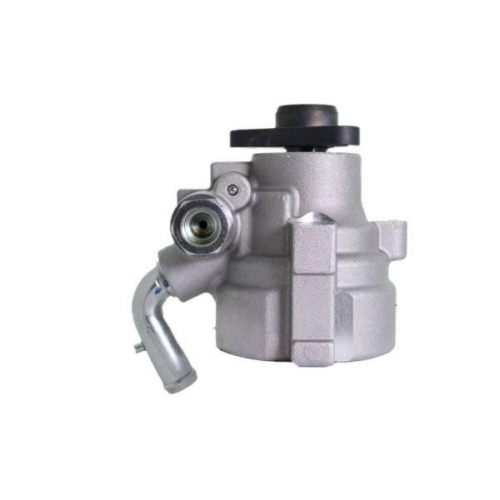 LAUBER Hydraulikpumpe, Lenkung 55.3719